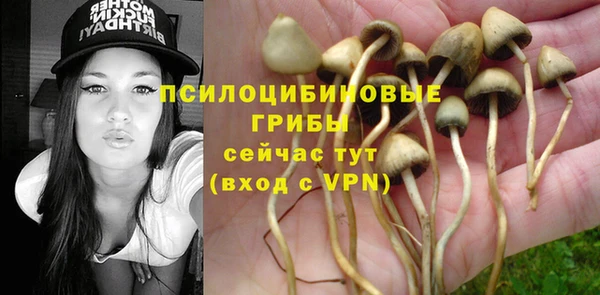 apvp Абаза