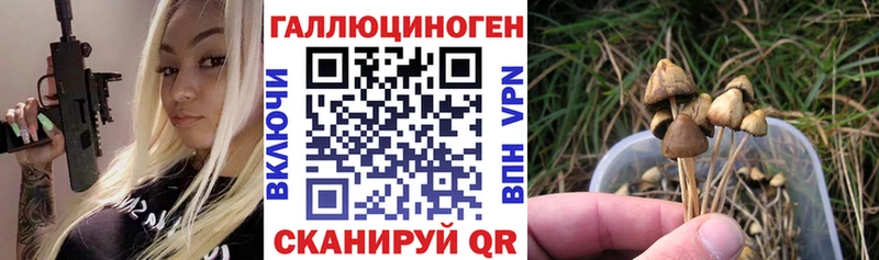 Псилоцибиновые грибы MAGIC MUSHROOMS  Нелидово 